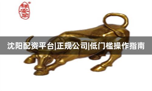 沈阳配资平台|正规公司|低门槛操作指南